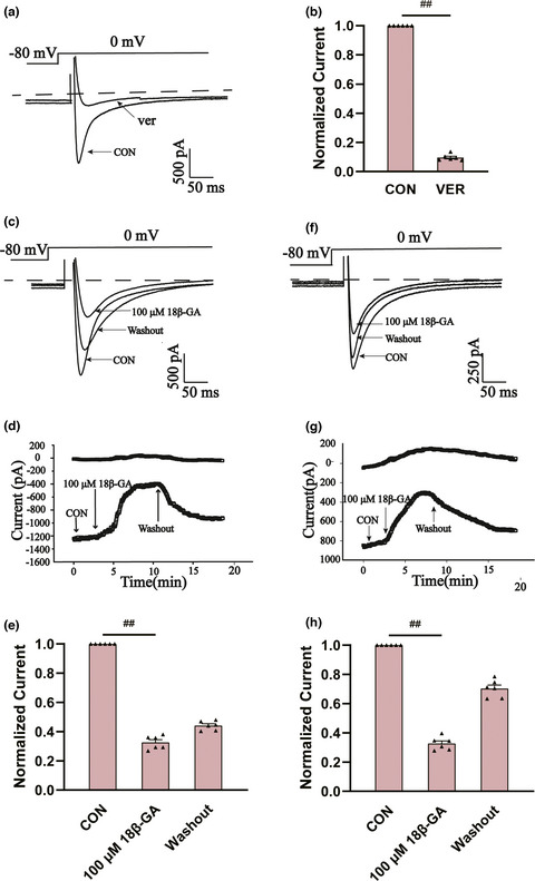 Protective effects of 18β-Glycyrrhetinic acid against myocardial infarction: Involvement of PI3K/Akt pathway activation and inhibiting Ca2+ influx via L-type Ca2+ channels