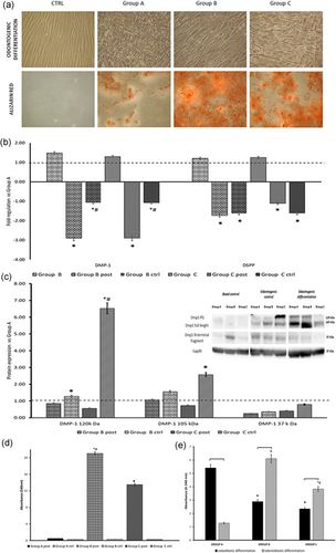 Details are in the caption following the image Details are in the caption following the image