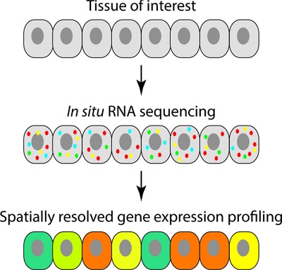 Fourth Generation of Next-Generation Sequencing Technologies: Promise and Consequences