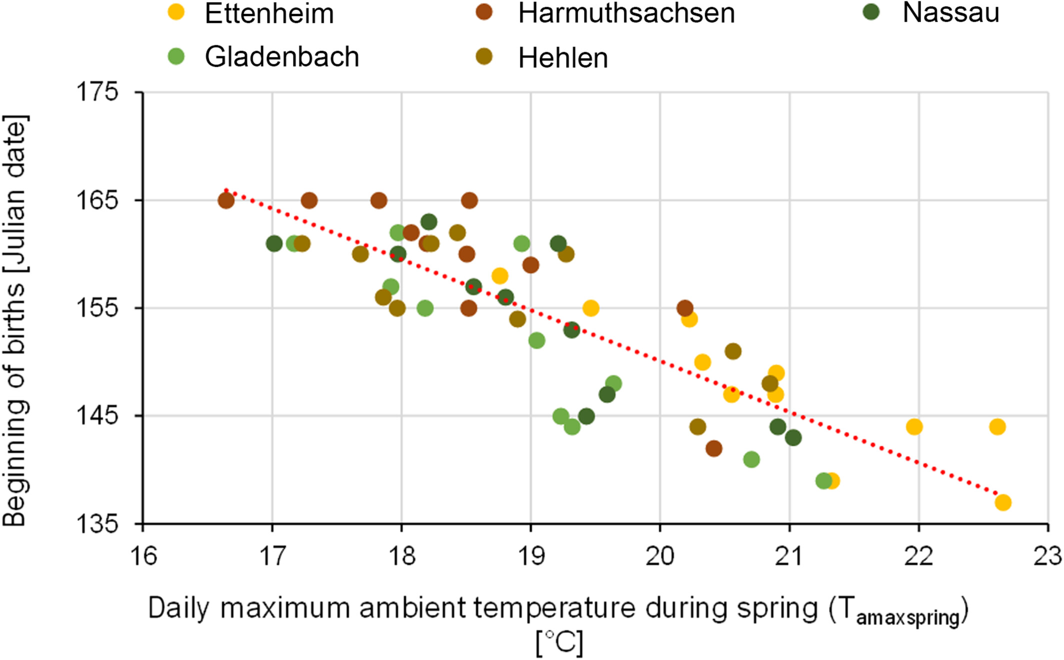 Influence of ambient temperature on the phenology of the greater mouse-eared bat (Myotis myotis)