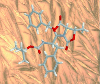 A Fiberlike Peptide Material Stabilized by Single Intermolecular Hydrogen Bonds