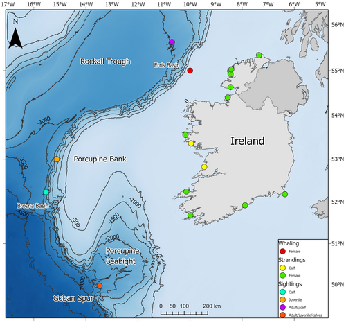 Details are in the caption following the image Details are in the caption following the image