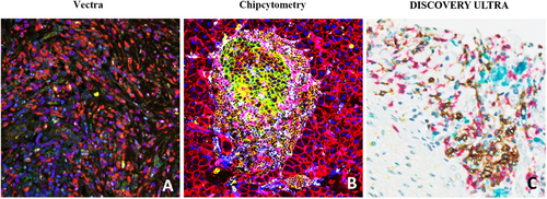 Details are in the caption following the image Details are in the caption following the image