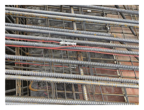 Details are in the caption following the image Details are in the caption following the image