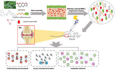 A Metabolic Driven Bio-Responsive Hydrogel Loading Psoralen for Therapy of Rheumatoid Arthritis