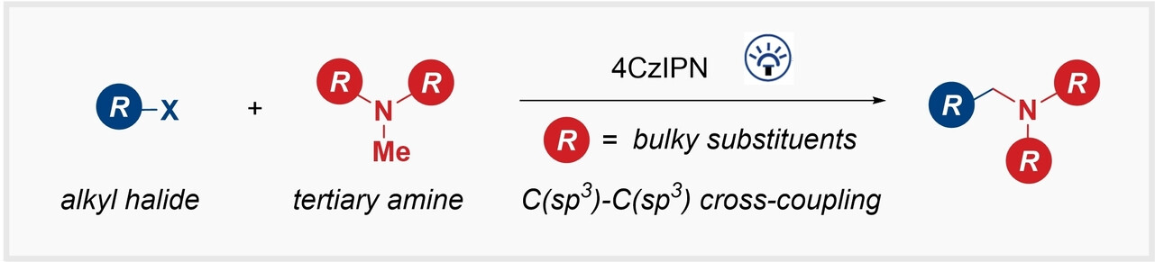 Photocatalyzed Aminomethylation of Alkyl Halides Enabled by Sterically Hindered N-Substituents