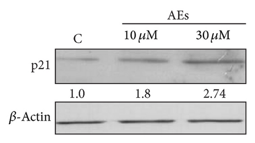 Details are in the caption following the image