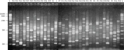 Details are in the caption following the image