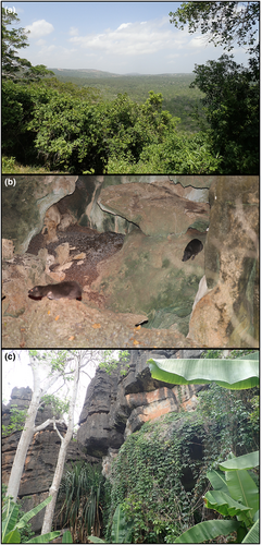 Details are in the caption following the image Details are in the caption following the image