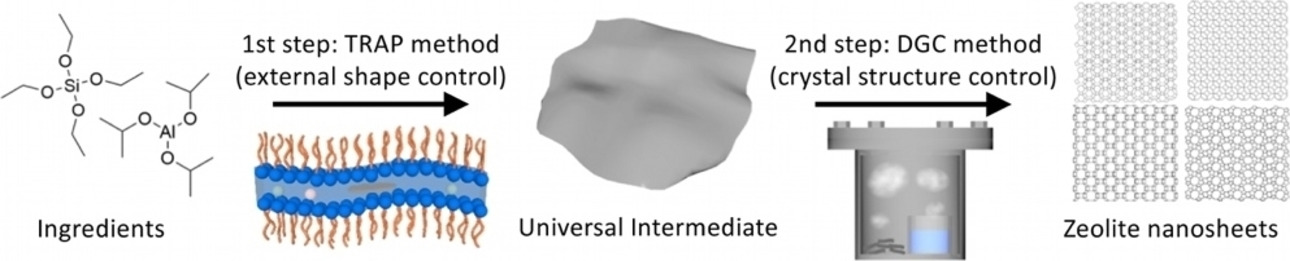 Amorphous Aluminosilicate Nanosheets as Universal Precursors for the Synthesis of Diverse Zeolite Nanosheets for Polymer-Cracking Reactions