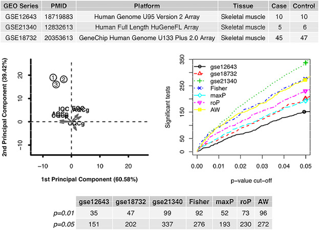 Systematic-analysis of mRNA expression profiles in skeletal muscle of patients with type II diabetes: The glucocorticoid was central in pathogenesis