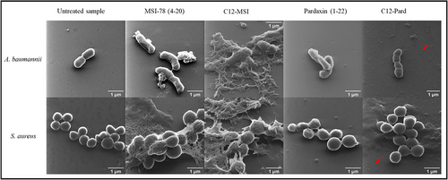 Details are in the caption following the image