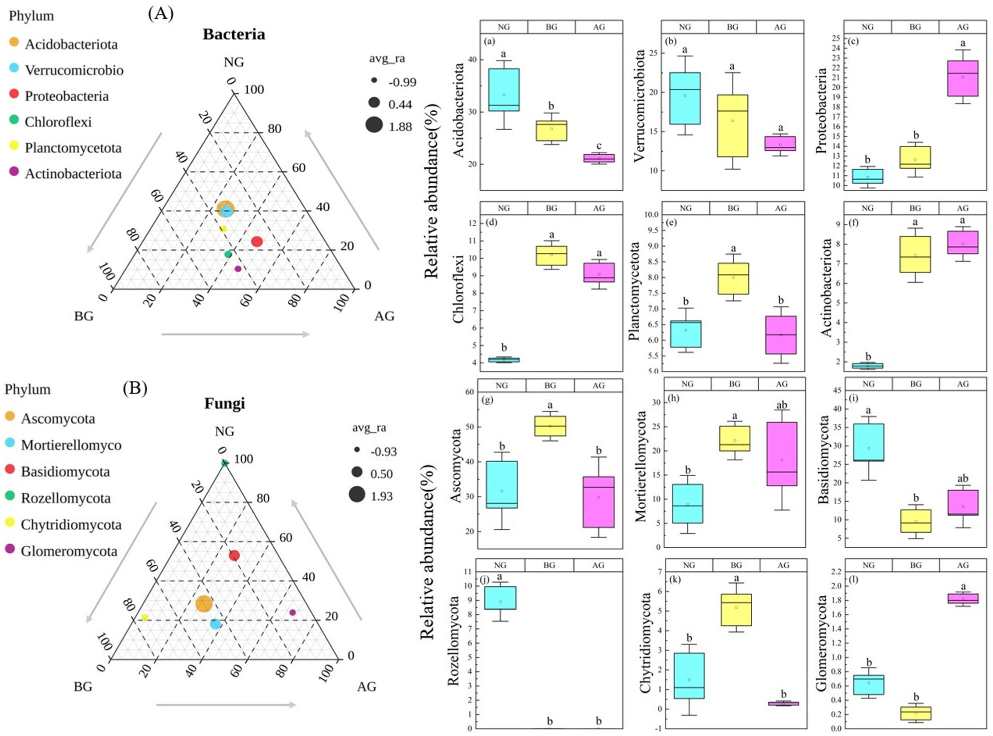 Changes in Soil Bacterial and Fungal Community Composition and Functional Groups During the Artificial Restoration of Degraded Grassland of “Black-Soil Mountain”