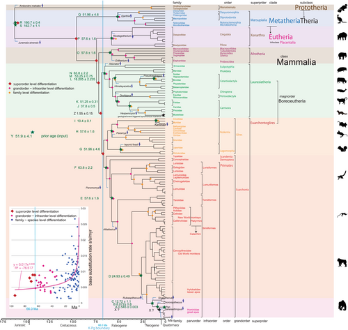 Details are in the caption following the image Details are in the caption following the image