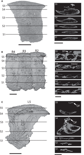 Details are in the caption following the image
