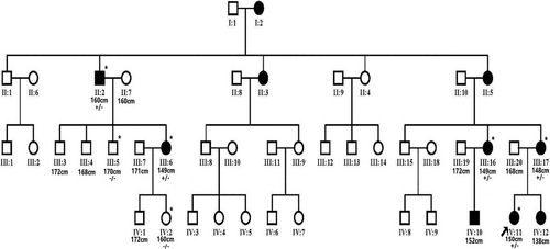 Details are in the caption following the image Details are in the caption following the image