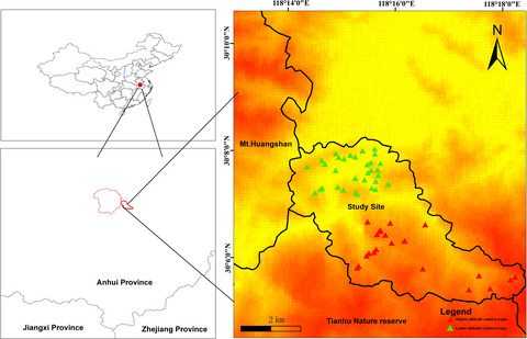 Habitat characteristics or protected area size: What is more important for the composition and diversity of mammals in nonprotected areas?