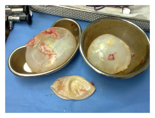 Details are in the caption following the image Details are in the caption following the image