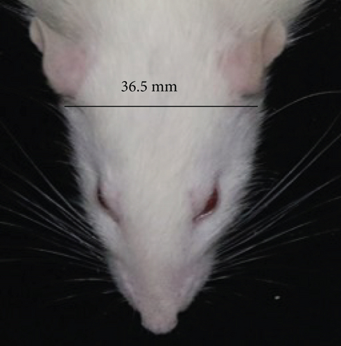Details are in the caption following the image Details are in the caption following the image