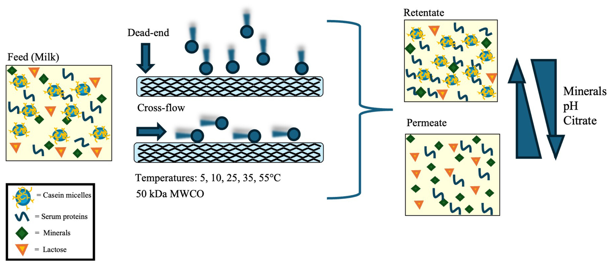 The influence of different ultrafiltration set-ups on the mineral partitioning between skim milk streams