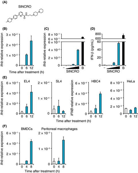 Novel chemical compound SINCRO with dual function in STING-type I interferon and tumor cell death pathways
