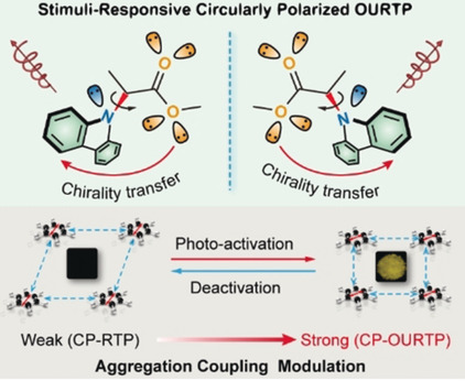 Stimuli-Responsive Circularly Polarized Organic Ultralong Room Temperature Phosphorescence