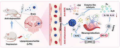 Exosome-Functionalized Self-Carrier Enzyme-Like/Drug With Triple Amplified Anti-Oxidative Stress for Synergistic Depression Therapy