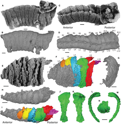 Details are in the caption following the image