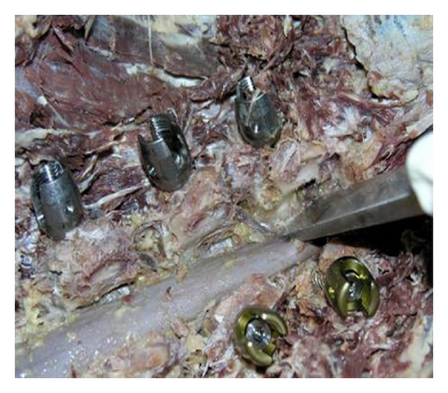 Details are in the caption following the image Details are in the caption following the image