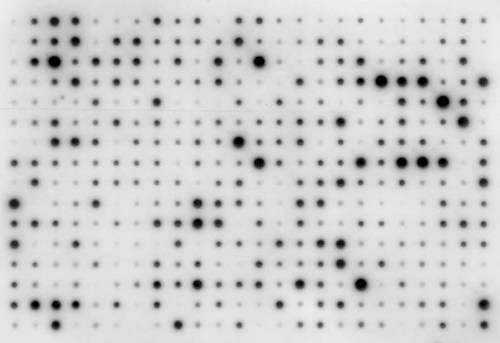 Details are in the caption following the image