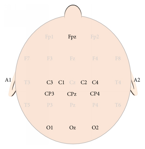 Details are in the caption following the image Details are in the caption following the image