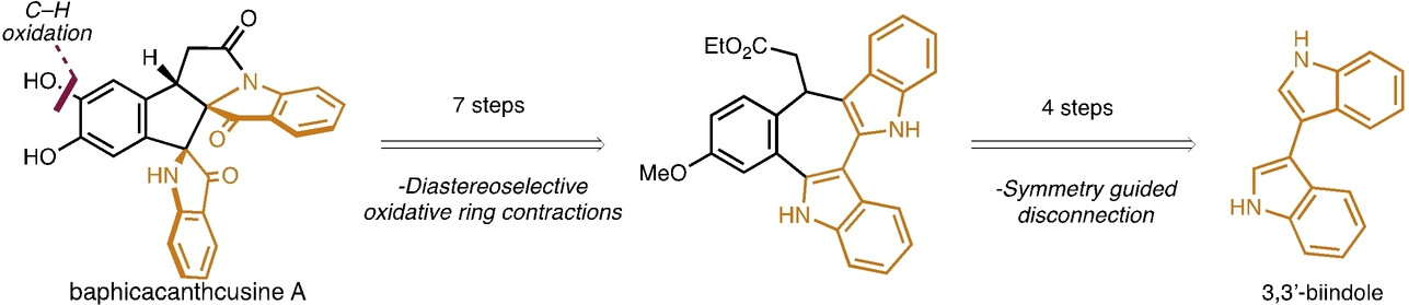 Total Synthesis of (±)-Baphicacanthcusine A Enabled by Sequential Ring Contractions