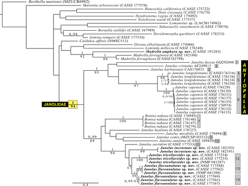 Details are in the caption following the image Details are in the caption following the image