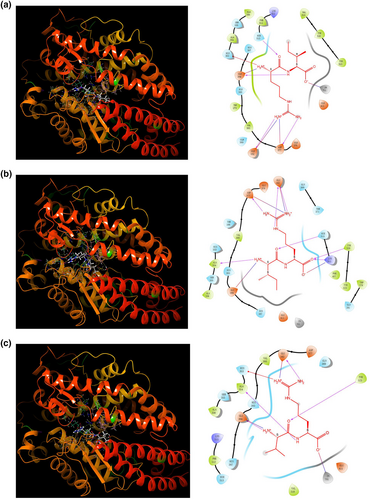 Details are in the caption following the image Details are in the caption following the image