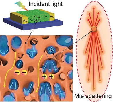 Constructing Mie-Scattering Porous Interface-Fused Perovskite Films to Synergistically Boost Light Harvesting and Carrier Transport