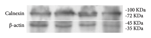 Details are in the caption following the image