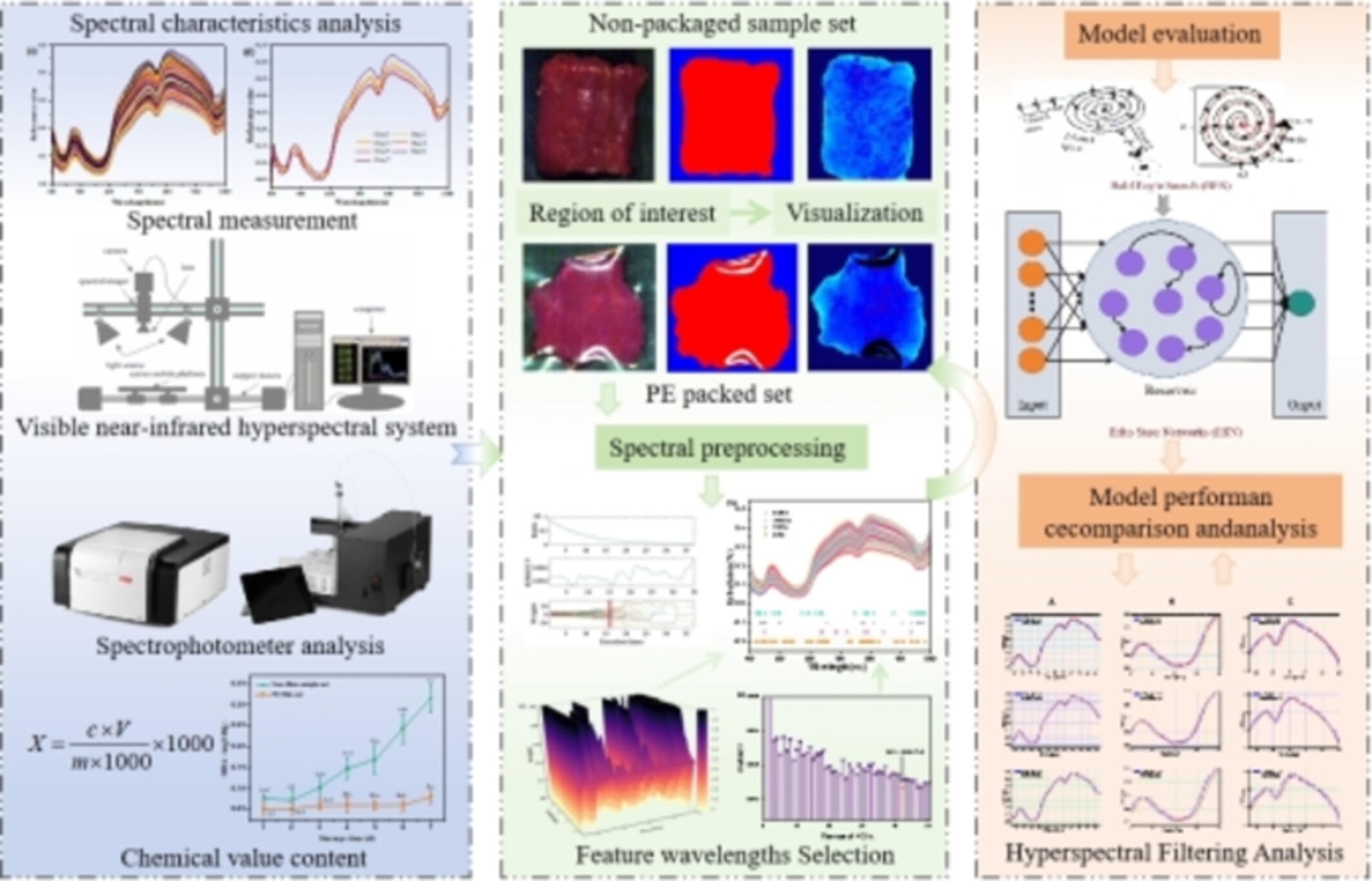 Detection of Quality Deterioration of Packaged Raw Beef Based on Hyperspectral Technology