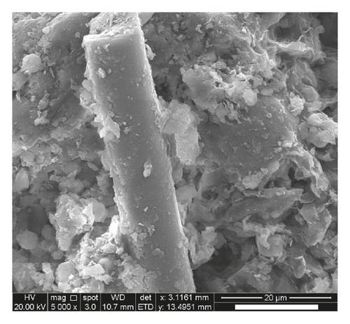 Details are in the caption following the image