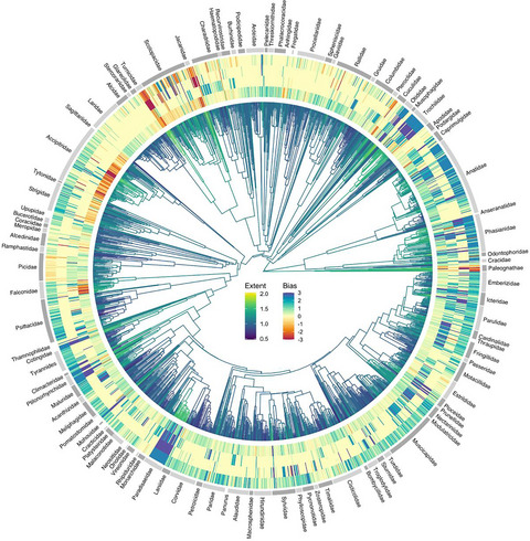 Sex roles in birds: Phylogenetic analyses of the influence of climate, life histories and social environment