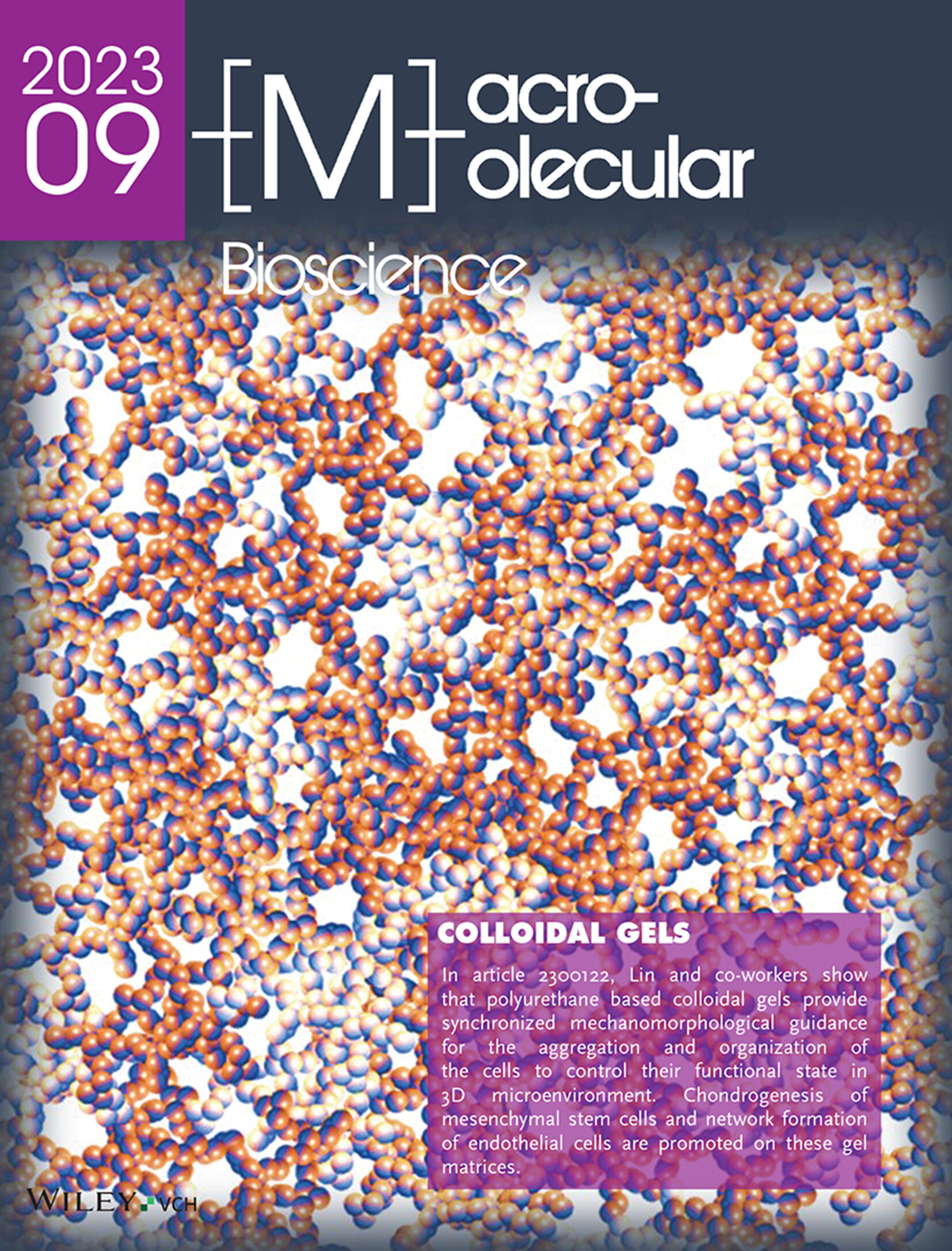 Mechanomorphological Guidance of Colloidal Gel Regulates Cell Morphogenesis Volume 23 Issue 9, 2023