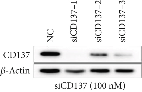 Details are in the caption following the image