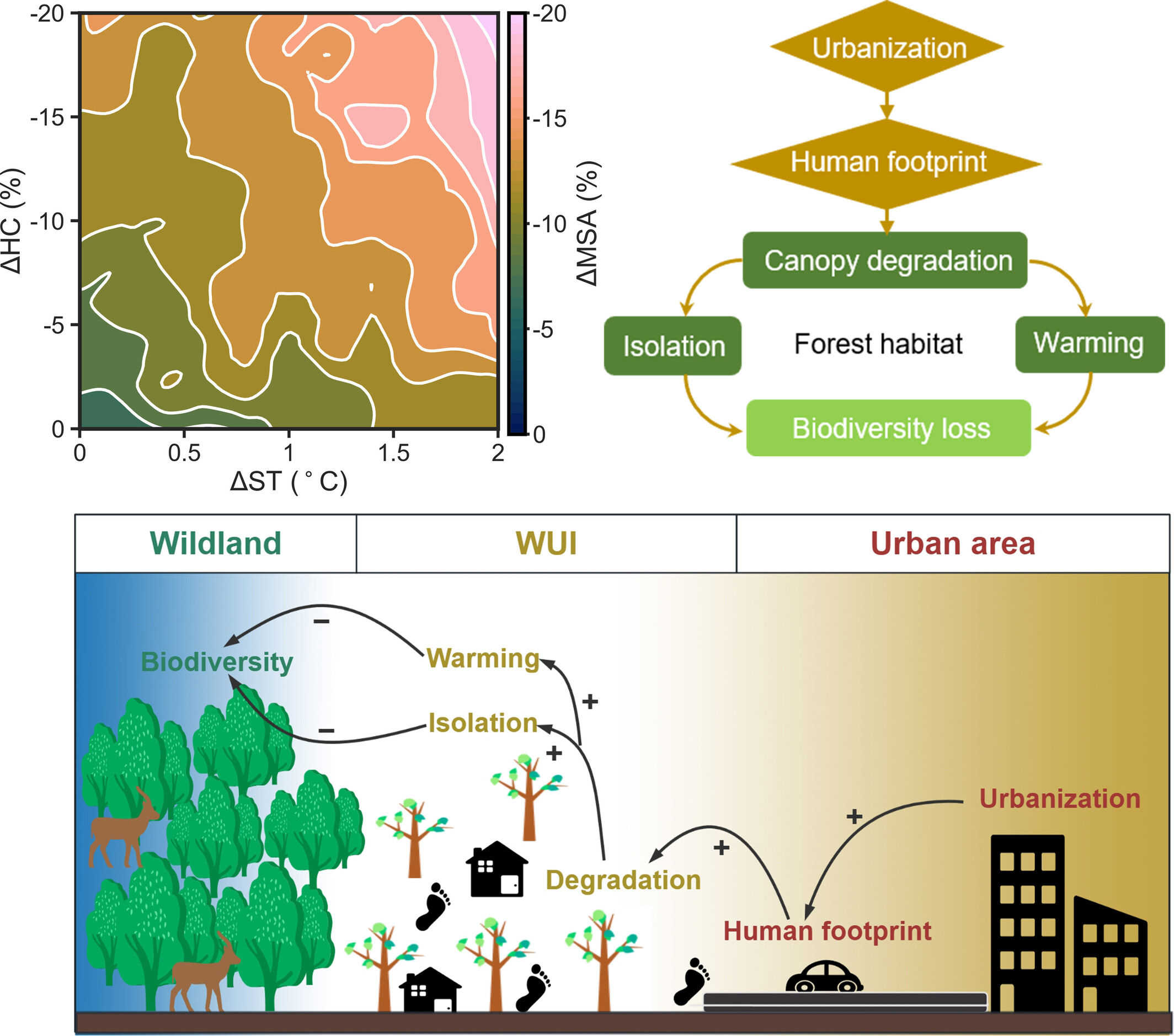 Urbanization Pressures on Climate Adaptation Capacity of Forest Habitats