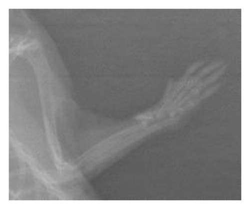 Details are in the caption following the image