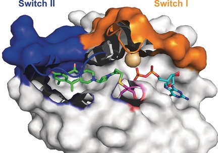 Latest Advances Towards Ras Inhibition: A Medicinal Chemistry Perspective