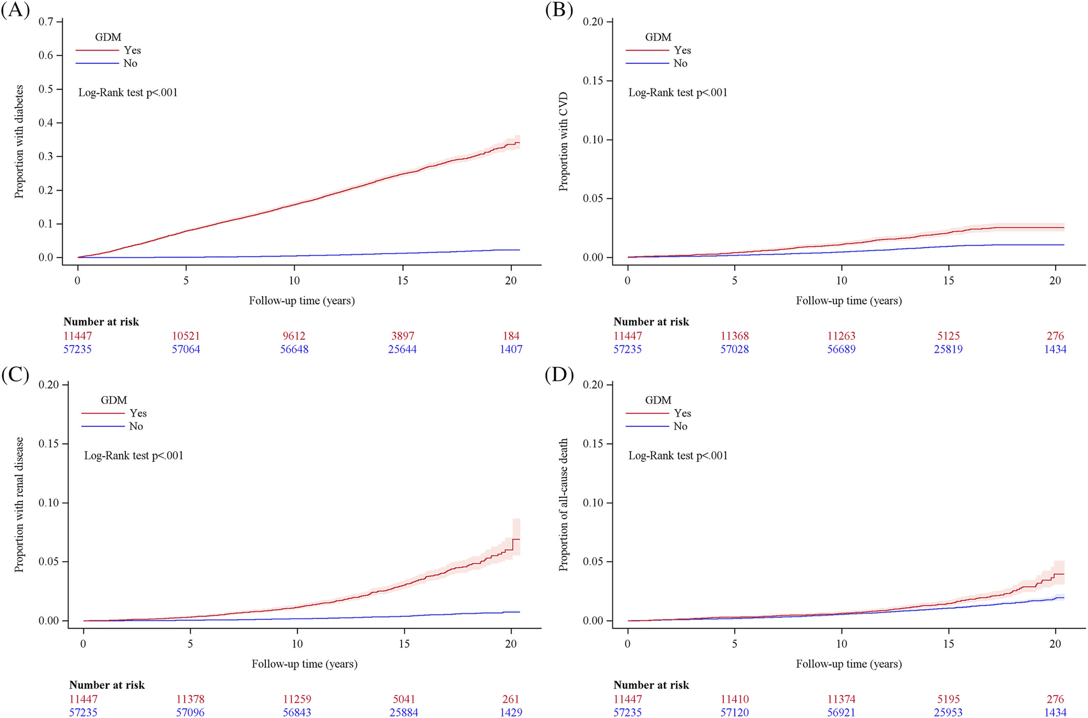 Increased risk of cardiovascular and renal disease, and diabetes for all women diagnosed with gestational diabetes mellitus in New Zealand—A national retrospective cohort study