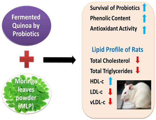 Moringa leaves for improving the health benefits of quinoa fermented by probiotics
