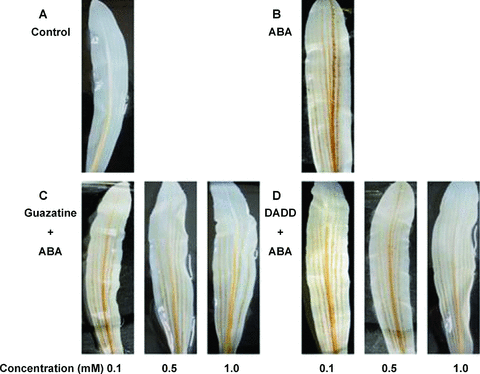 Details are in the caption following the image Details are in the caption following the image