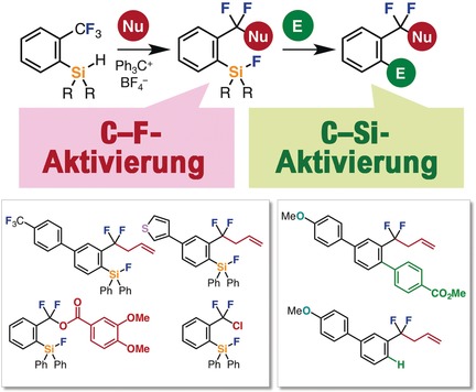 Single C−F Bond Cleavage of Trifluoromethylarenes with an ortho-Silyl Group
