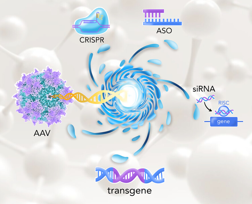 Optimization strategies and advances in the research and development of AAV-based gene therapy to deliver large transgenes