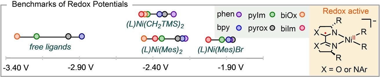 Redox Activity and Potentials of Bidentate N-Ligands Commonly Applied in Nickel-Catalyzed Cross-Coupling Reactions
